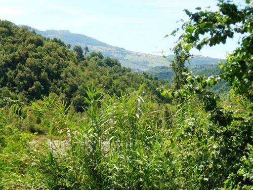 Bed & Breakfast Nicoletta Spirito Del Tibet