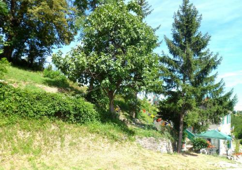 Bed & Breakfast Nicoletta Spirito Del Tibet