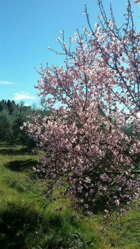 Agroturismo P� Delle Buche