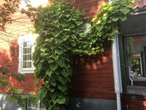 V�rmd�v�gen B&B Cottage