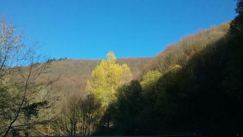 Apartamento Casa Vacanze Podere Ugolini