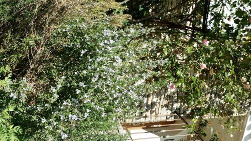 Charm In Provence