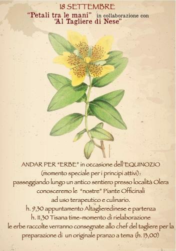 Hostal Al Tagliere Di Nese