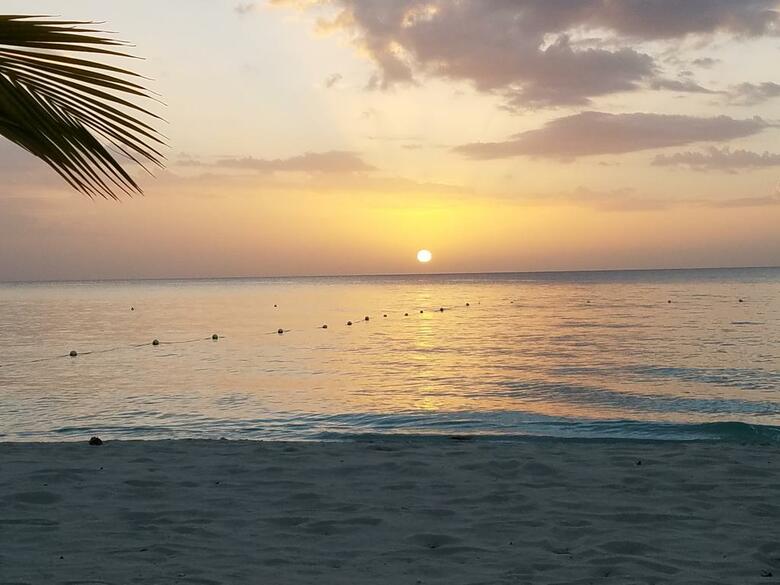 Hotel White Sands Negril
