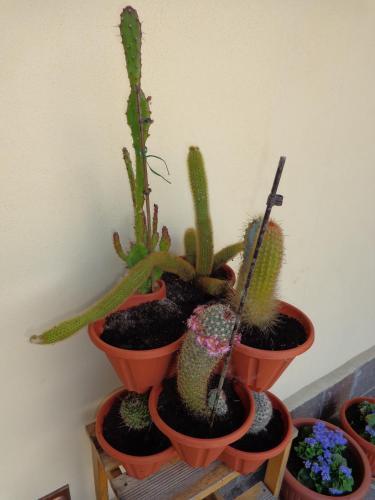 Bed & Breakfast Il Sole Del Borgo