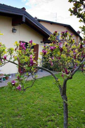 Bed & Breakfast Il Sole Del Borgo