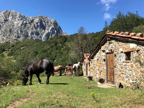 Agroturismo Casa Prieto IV