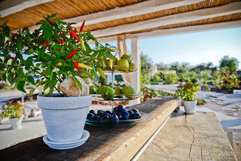 Bed & Breakfast Leonardo Trulli Resort