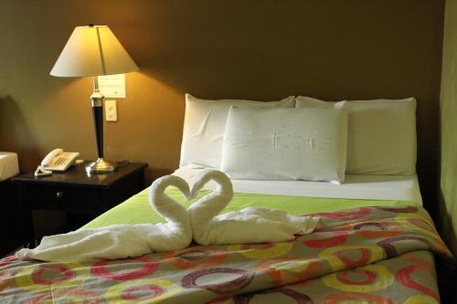 Hotel Camila 2