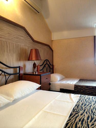 Hostal Pensiunea Doria