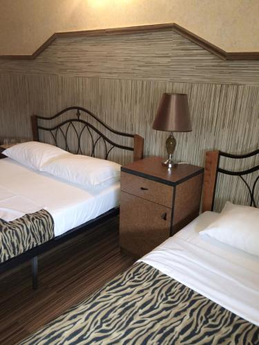 Hostal Pensiunea Doria