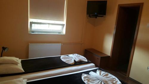 Hostal Pensiunea Doria