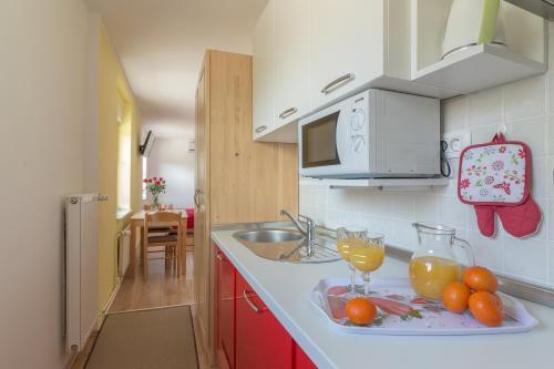 Apartments Repinc