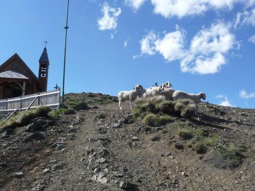 Hotel Garni Excelsior