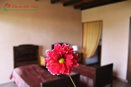 Agroturismo Fattoria Delle Rose