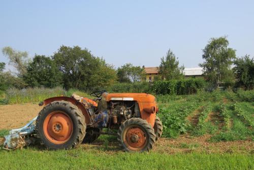 Agroturismo Fattoria Delle Rose