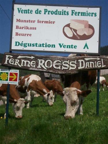 Hostal Chez Chantal Et Dany
