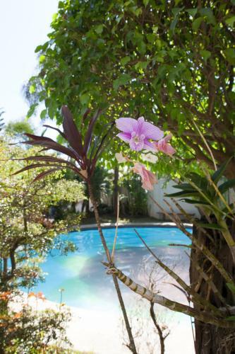 Bed & Breakfast Sir Nico Guesthouse And Resort