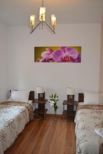 Hostal Kalinowy Sen