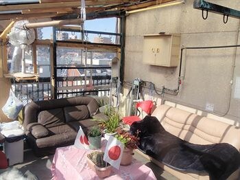 Tokyo Guest House B&B Hostel