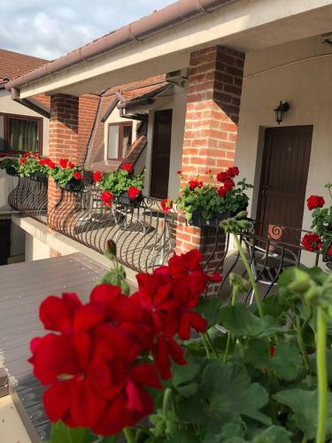 Hostal Casa Mignon