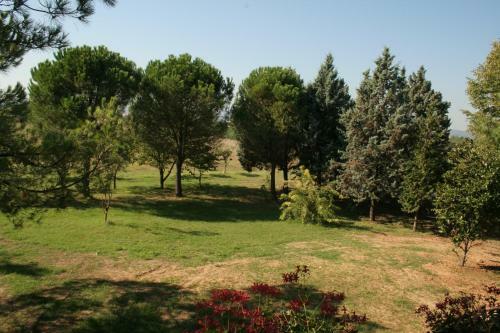 Bed & Breakfast Casale Del Fattore