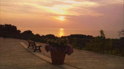 Hostal Residence La Farfalla
