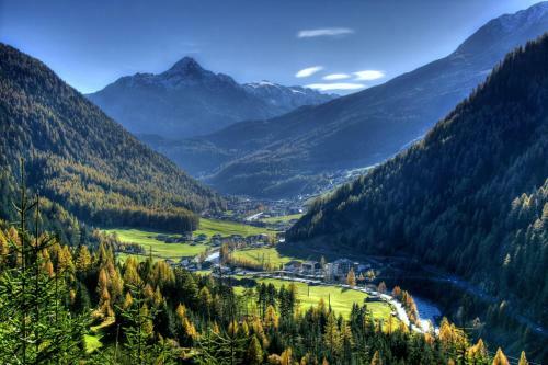 Hostal G�stehaus Waldesrand