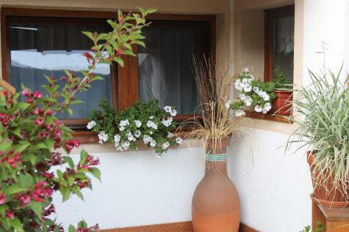 Apartamento Freiraum