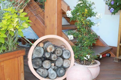 Apartamento Freiraum