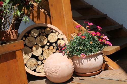 Apartamento Freiraum
