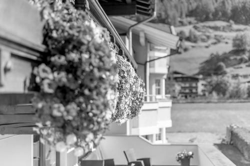 Hostal Pension Arnold Georg