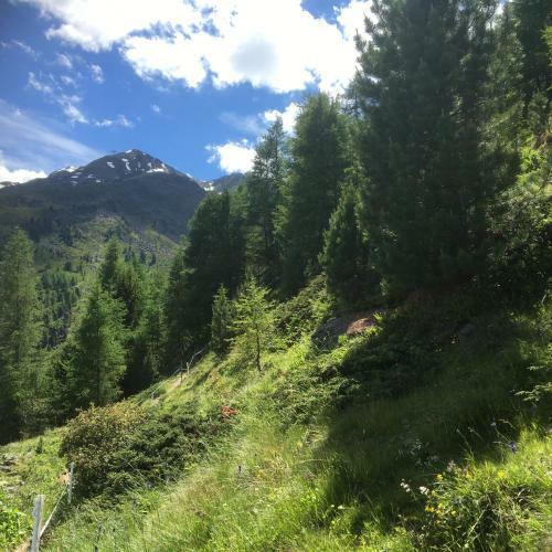 Hostal Hotel Garni Sch�nblick