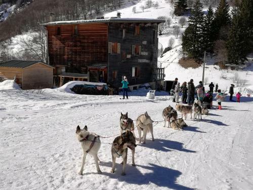 Le Chamois