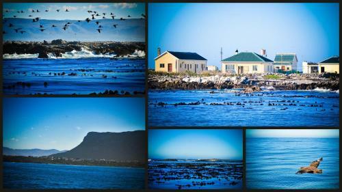 Bed & Breakfast The Bay Lodge