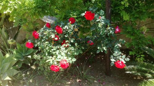 Holiday House Torre Di Manfria