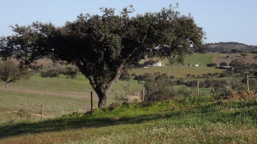 Casa Do Compadre - Casas De Taipa