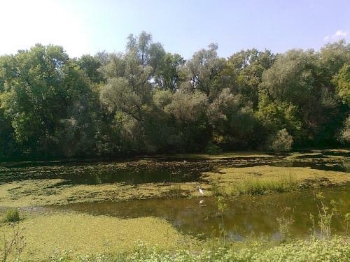 Agroturismo La Raducu