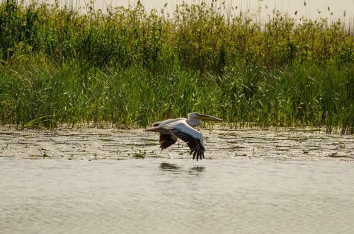 Agroturismo La Raducu