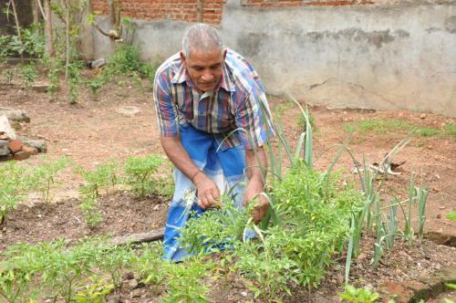 Bed & Breakfast Bangalawa