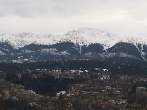 Hostal Pensiunea Valcinet