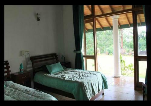 Hostal Jungletide