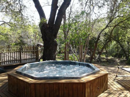 Hostal Blyde River Cabin Guesthouse