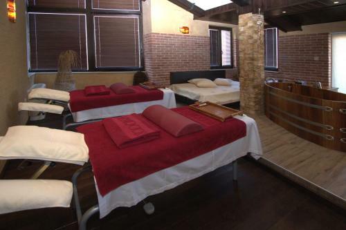 Todoroff Wine & Spa Hotel