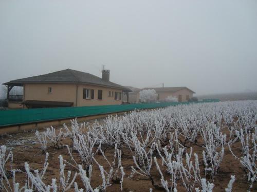 Domaine Du Barvy