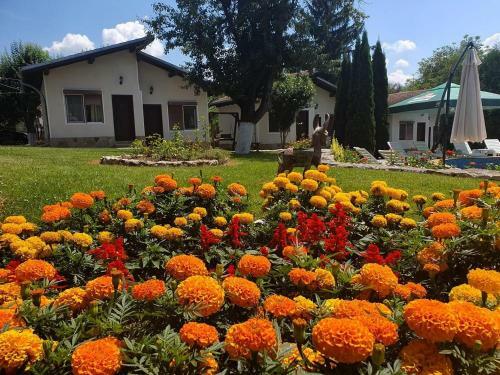 Hotel Nigovanka