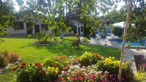 Hotel Nigovanka