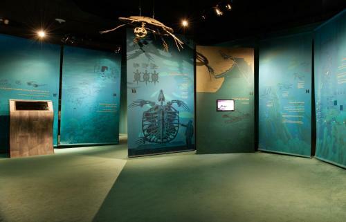 Hotel Ras Al Jinz Turtle Reserve