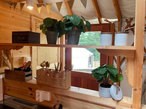 Lodge Halvorseth Yurts