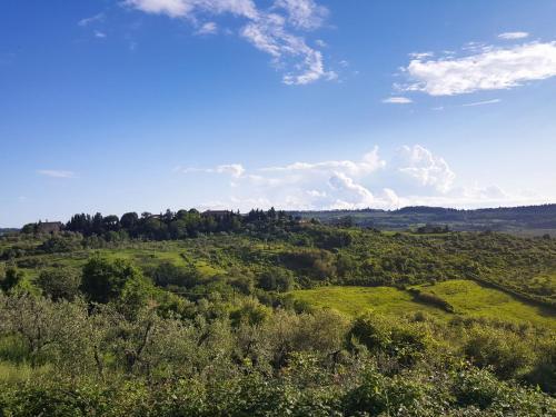 Apartamentos Primrose